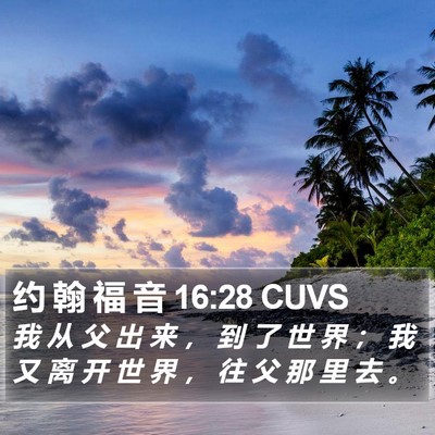 约 翰 福 音 16:28 CUVS Bible Verse Image