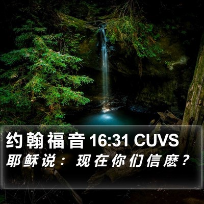 约 翰 福 音 16:31 CUVS Bible Verse Image