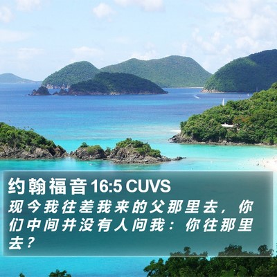 约 翰 福 音 16:5 CUVS Bible Verse Image