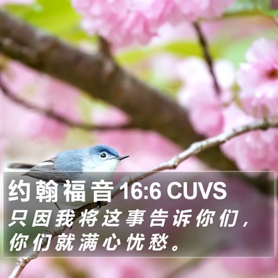 约 翰 福 音 16:6 CUVS Bible Verse Image