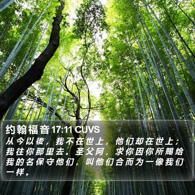 约 翰 福 音 17:11 CUVS Bible Verse Image