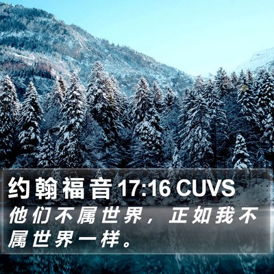 约 翰 福 音 17:16 CUVS Bible Verse Image