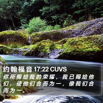 约 翰 福 音 17:22 CUVS Bible Verse Image