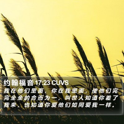 约 翰 福 音 17:23 CUVS Bible Verse Image