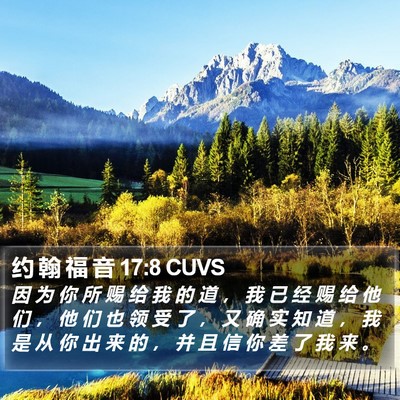约 翰 福 音 17:8 CUVS Bible Verse Image