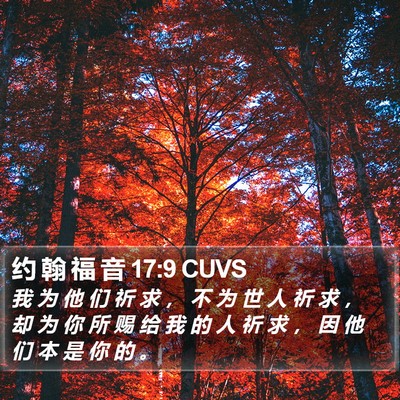 约 翰 福 音 17:9 CUVS Bible Verse Image
