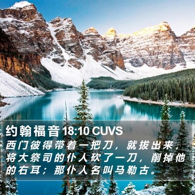 约 翰 福 音 18:10 CUVS Bible Verse Image
