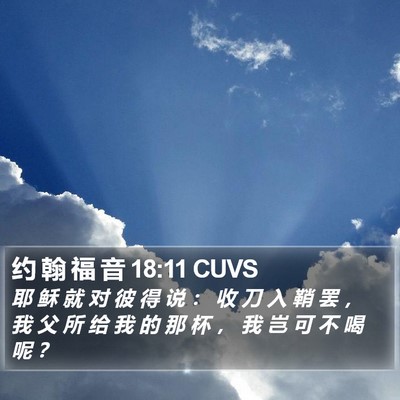约 翰 福 音 18:11 CUVS Bible Verse Image