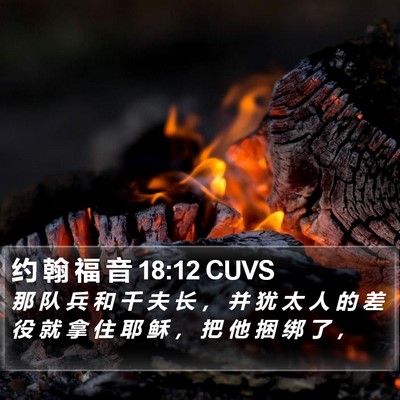 约 翰 福 音 18:12 CUVS Bible Verse Image
