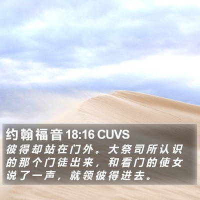 约 翰 福 音 18:16 CUVS Bible Verse Image