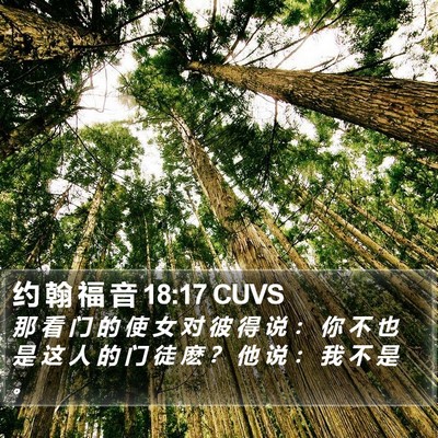 约 翰 福 音 18:17 CUVS Bible Verse Image