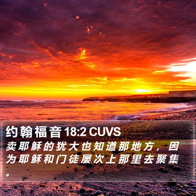约 翰 福 音 18:2 CUVS Bible Verse Image