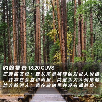 约 翰 福 音 18:20 CUVS Bible Verse Image