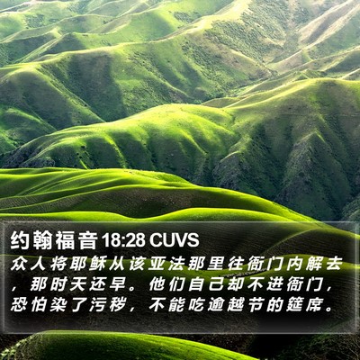 约 翰 福 音 18:28 CUVS Bible Verse Image
