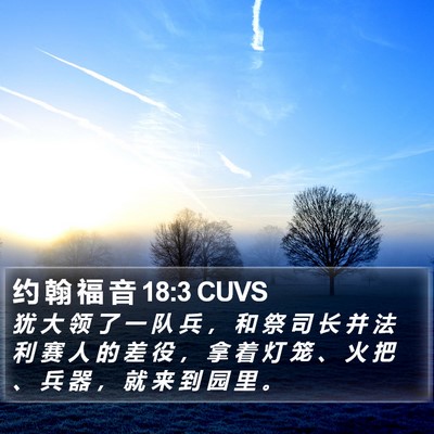约 翰 福 音 18:3 CUVS Bible Verse Image