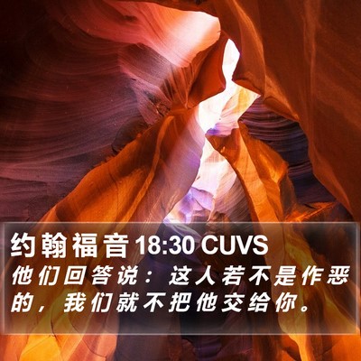 约 翰 福 音 18:30 CUVS Bible Verse Image