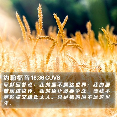 约 翰 福 音 18:36 CUVS Bible Verse Image