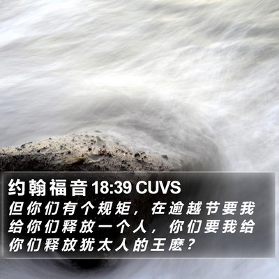 约 翰 福 音 18:39 CUVS Bible Verse Image