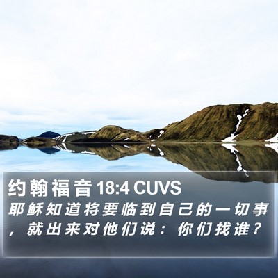 约 翰 福 音 18:4 CUVS Bible Verse Image