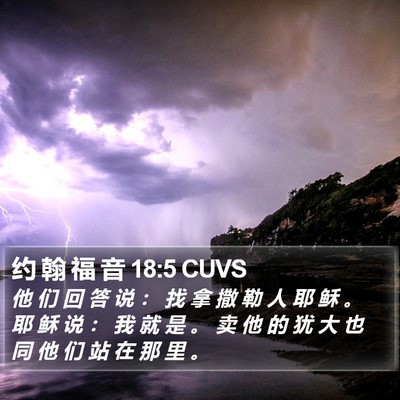 约 翰 福 音 18:5 CUVS Bible Verse Image