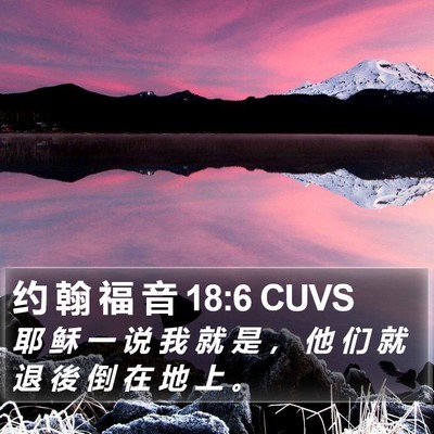 约 翰 福 音 18:6 CUVS Bible Verse Image