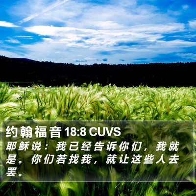 约 翰 福 音 18:8 CUVS Bible Verse Image
