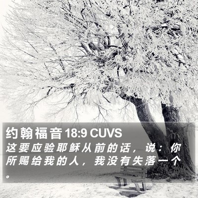 约 翰 福 音 18:9 CUVS Bible Verse Image