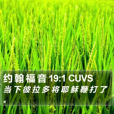 约 翰 福 音 19:1 CUVS Bible Verse Image