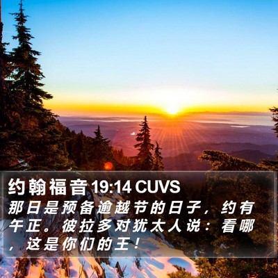 约 翰 福 音 19:14 CUVS Bible Verse Image