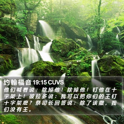 约 翰 福 音 19:15 CUVS Bible Verse Image