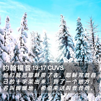 约 翰 福 音 19:17 CUVS Bible Verse Image