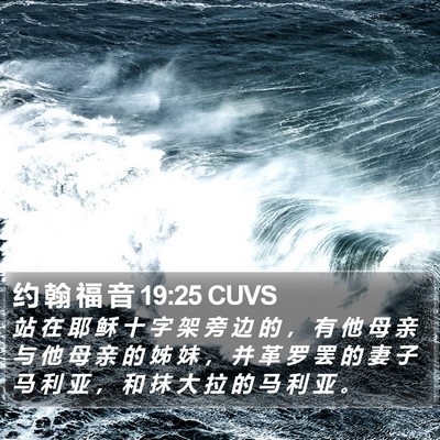 约 翰 福 音 19:25 CUVS Bible Verse Image