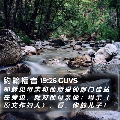 约 翰 福 音 19:26 CUVS Bible Verse Image