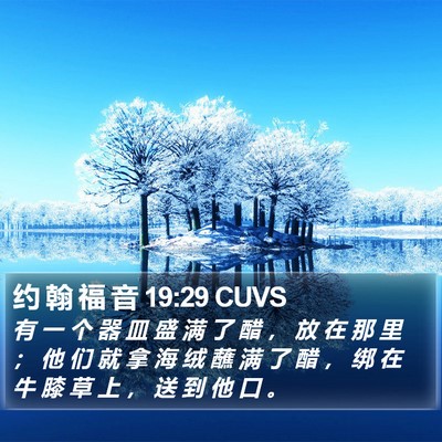 约 翰 福 音 19:29 CUVS Bible Verse Image