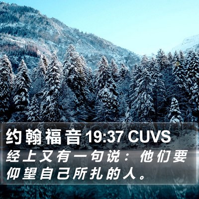 约 翰 福 音 19:37 CUVS Bible Verse Image
