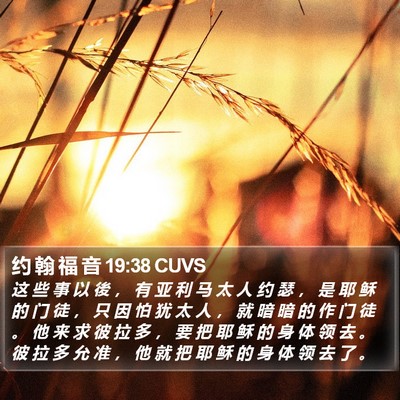 约 翰 福 音 19:38 CUVS Bible Verse Image