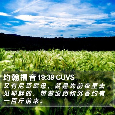约 翰 福 音 19:39 CUVS Bible Verse Image