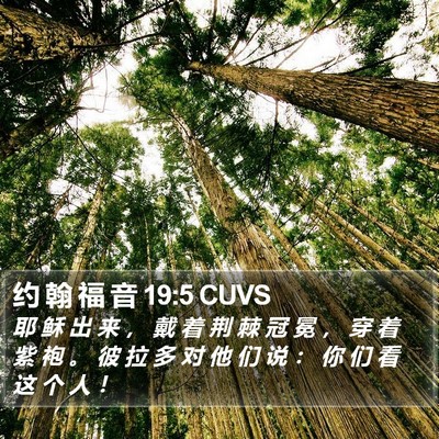 约 翰 福 音 19:5 CUVS Bible Verse Image