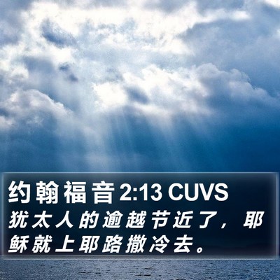约 翰 福 音 2:13 CUVS Bible Verse Image