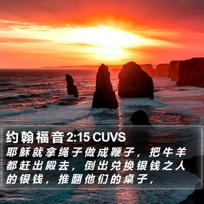 约 翰 福 音 2:15 CUVS Bible Verse Image