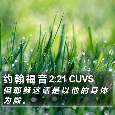 约 翰 福 音 2:21 CUVS Bible Verse Image