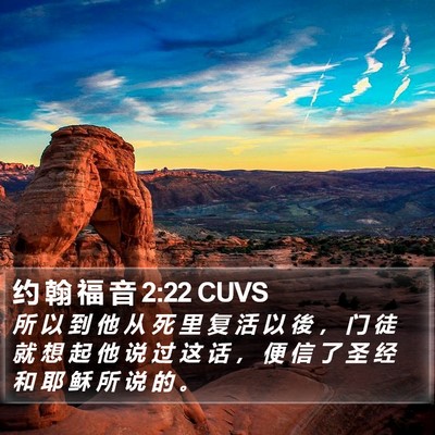 约 翰 福 音 2:22 CUVS Bible Verse Image