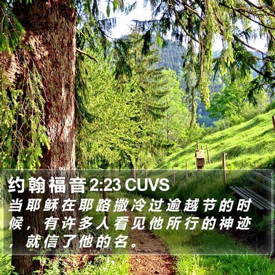 约 翰 福 音 2:23 CUVS Bible Verse Image