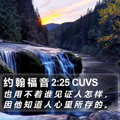 约 翰 福 音 2:25 CUVS Bible Verse Image
