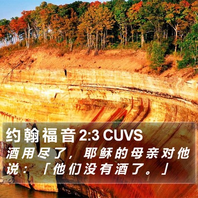 约 翰 福 音 2:3 CUVS Bible Verse Image