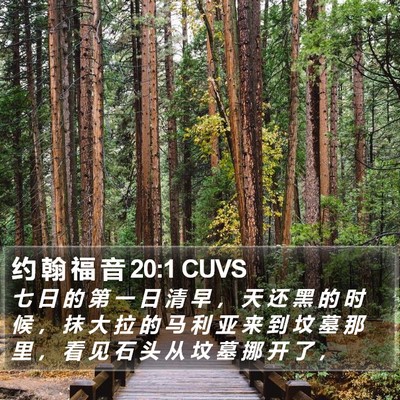 约 翰 福 音 20:1 CUVS Bible Verse Image