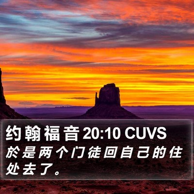 约 翰 福 音 20:10 CUVS Bible Verse Image