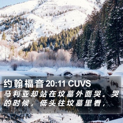 约 翰 福 音 20:11 CUVS Bible Verse Image