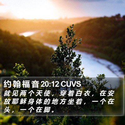 约 翰 福 音 20:12 CUVS Bible Verse Image