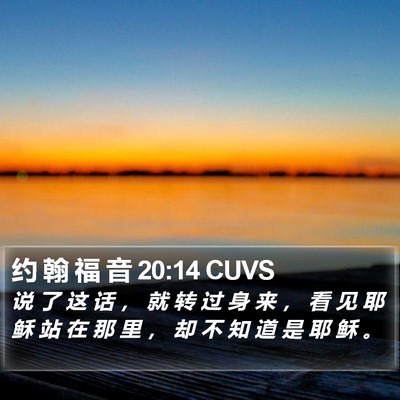 约 翰 福 音 20:14 CUVS Bible Verse Image